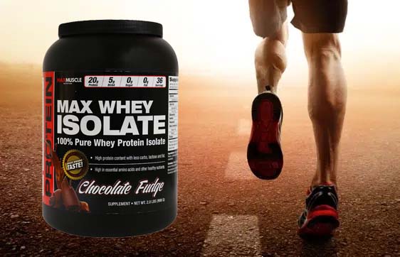 max whey isolate muscle