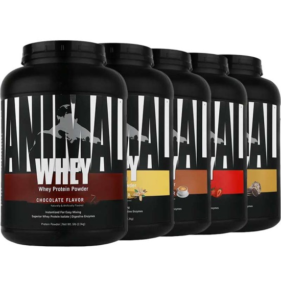 انیمال وی پروتئین یونیورسال نوتریشن | Animal Whey Protein Universal Nutrition