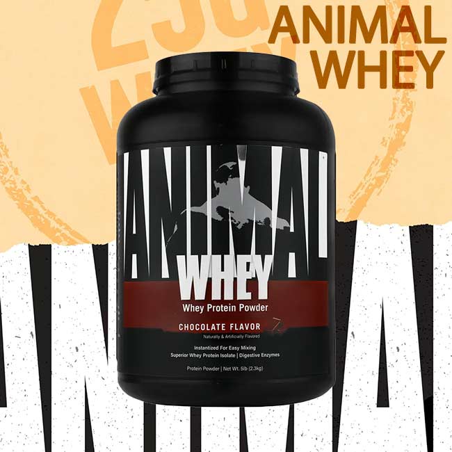 انیمال وی پروتئین یونیورسال نوتریشن | Animal Whey Protein Universal Nutrition