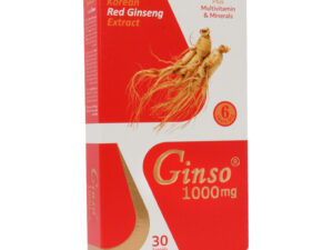 قرص جینسو 1000 میلی گرم ویت اسکای 30 عدد | Vitsky Ginso 1000 mg 30 Tablets
